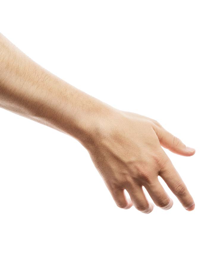 Gc Rehab Web Design Hand 1